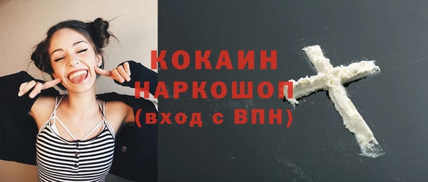 дживик Горняк