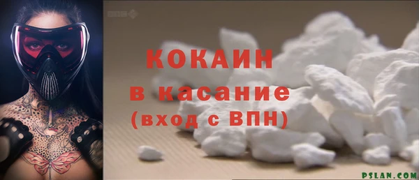 дживик Горняк