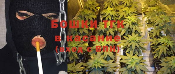 дживик Горняк