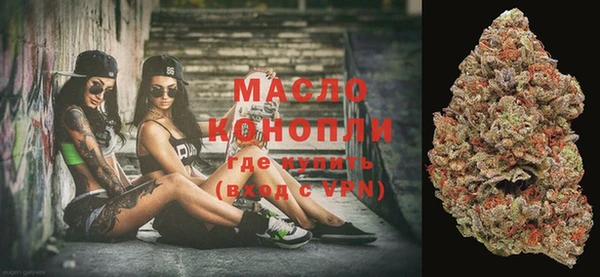 дживик Горняк