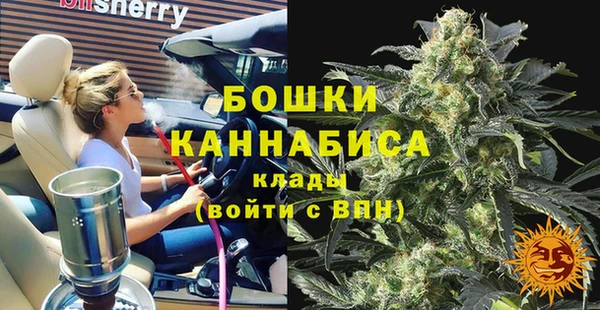 стаф Сосновка