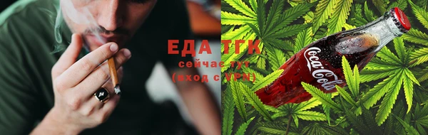 дживик Горняк