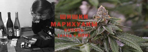 Альфа ПВП Горнозаводск
